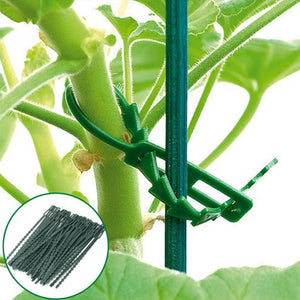 50pcs 17x0.7cm Garden Tree Climbing Support Garden Tools Adjustable Plant Cable Ties Reusable Self Locking Plastic